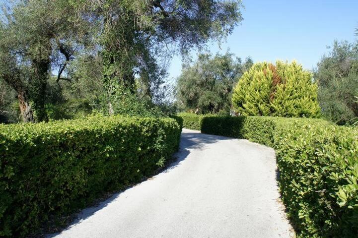 Villa Rosa Apartments Gouvia Dış mekan fotoğraf